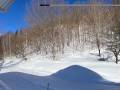 IMG_2600Hiver