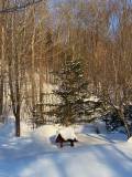 IMG_2598Hiver