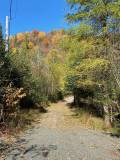 IMG_2382Automne